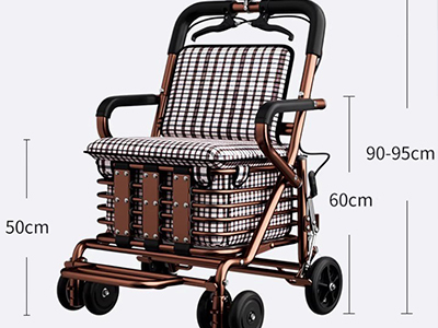 Elderly shopping cart