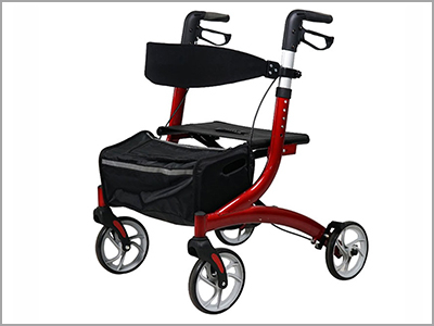 Elderly shopping cart